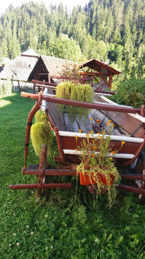 Casa De Vacanta Joldes Hotell Gîrda de Sus Exteriör bild